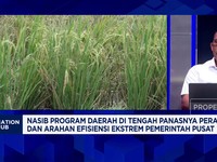 Video: Genjot PAD, Bupati Bulungan Fokuskan Penguatan Ekonomi Lokal