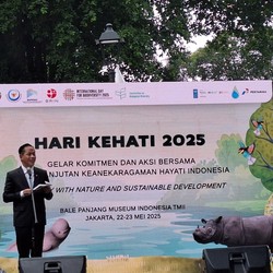 Tekan Polusi di Jakarta, Kementerian Lingkungan Hidup Lakukan Hal Ini