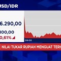 Video: Rupiah Menguat, Dolar AS Jatuh ke Level Rp 16.200-an