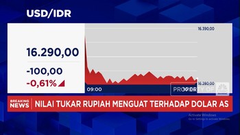 Video: Rupiah Menguat, Dolar AS Jatuh ke Level Rp 16.200-an