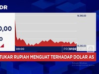Video: Rupiah Menguat, Dolar AS Jatuh ke Level Rp 16.200-an