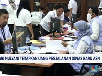 Video: Sri Mulyani Tetapkan Uang Perjalanan Dinas Baru ASN