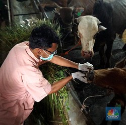 Kapan Idul Adha 2025? Ini Jadwal Muhammadiyah & Libur Pemerintah