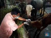Kapan Idul Adha 2025? Ini Jadwal Muhammadiyah & Libur Pemerintah