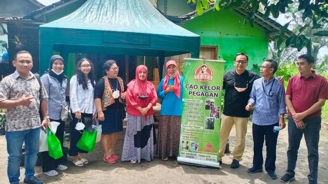 Pakai KUR BRI, Wanita Ini Sukses Sulap Kelor Jadi Aneka Olahan Pangan