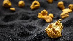 Bogor dan Riwayat Emas Hijau Bangsa-bangsa Eropa