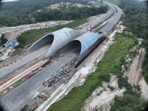 Jembatan Satwa Dibangun di Tol IKN, Mudahkan Perpindahan Hewan Liar