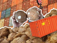 RI Krisis Kelapa Parut Gara-gara China, Pedagang Cuma Jual Barang Sisa