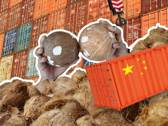 RI Krisis Kelapa Parut Gara-gara China, Pedagang Cuma Jual Barang Sisa
