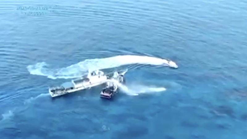 Sebuah kapal penjaga pantai China bertabrakan dengan kapal pemerintah Filipina di dekat terumbu karang yang disengketakan di Laut Cina Selatan. (Tangkapan Layar Video/REUTERS)
