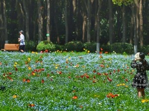Taman-taman Kota di Negara Lain yang Buka 24 Jam