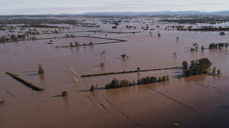 Foto udara menunjukkan daerah yang terendam banjir di dekat Sungai Hunter di Heatherbrae, Australia, Sabtu, (24/5/2025). (REUTERS/Hollie Adams)