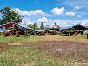 Ketua GRIB Tangsel Tersangka Lahan BMKG, Ini Cara Agar Tanah Tak Diserobot Ormas