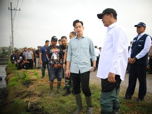 Gibran Buka Suara soal Stok Beras Tembus 3,9 Juta Ton