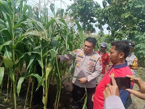Kapolsek Porong Tinjau Lahan Ketahanan Pangan di Kebonagung