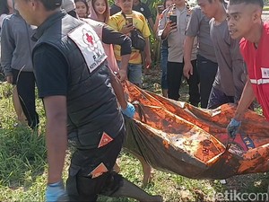 Kronologi Anton Tewas Tersetrum Usai Berburu Belut di Sawah