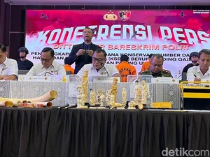 4 Fakta Pipa Rokok hingga Ukiran Gading Gajah Rp 2,3 M Dibongkar