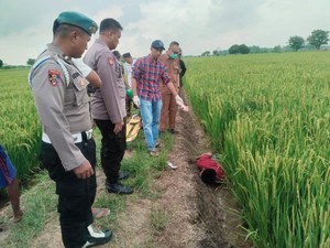 Petani Gresik Tewas Tersetrum Jebakan Tikus di Sawah Kepala Dusun