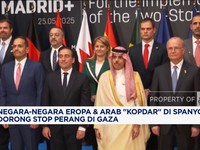Video: Desak Gencatan Senjata Gaza, Negara Eropa & Arab 