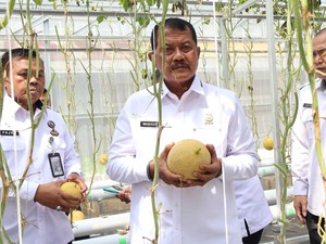 Kala Melon Inthanon Tumbuh Subur di Lapas Sukamiskin