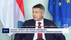 Video: Dubes Uni Eropa Ungkap Nasib IEU-CEPA & Efek Perang Dagang AS