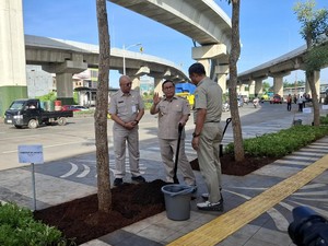 Pramono Tanam 103 Pohon Tabebuya di Cakung: Kita Ingin Jakarta Lebih Hijau