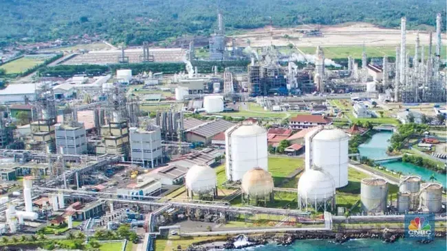 OJK Beri Bocoran IPO Anak Usaha Prajogo Pangestu Candra Daya (CDIA)