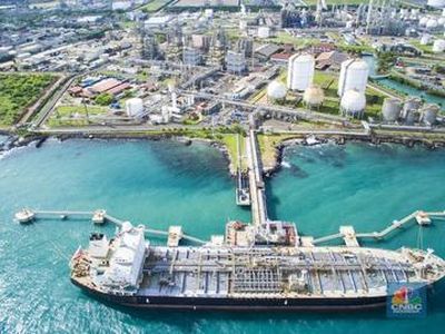 Laba Emiten Prajogo (CDIA) Naik 267,7% Jadi Rp 1,3 T, Ini Penyebabnya