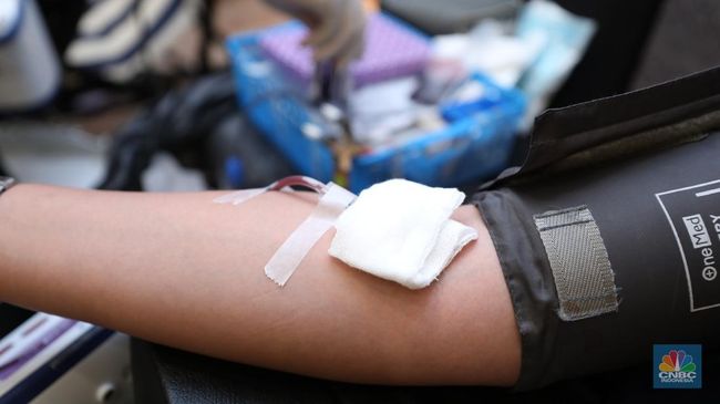 Warga Prancis Ketahuan Punya Golongan Darah Baru, Cuma 1 Orang Sedunia