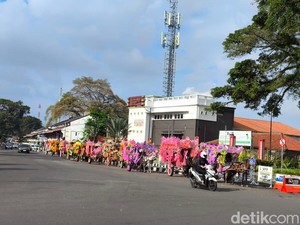 Delman Kuningan di Ambang Senja, Pemerintah Siap Turun Tangan