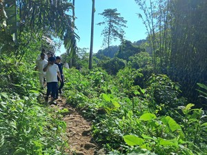 Gubernur Banten Jajal Trek Jalan Setapak ke Curug Putri Pandeglang