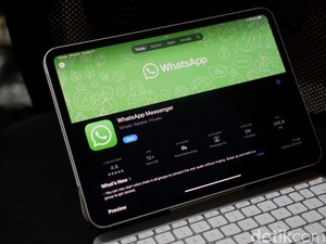 Akhirnya! WhatsApp Rilis Aplikasi Resmi untuk iPad