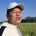 Simsalabim! Demul Mau Sulap Area Abrasi Pantai Pakis Karawang Jadi Ini
