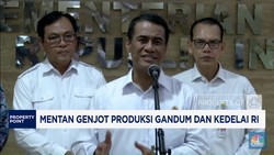 Video: Jurus Mentan Genjot Produksi Gandum dan Kedelai RI