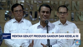 Video: Jurus Mentan Genjot Produksi Gandum dan Kedelai RI
