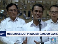 Video: Jurus Mentan Genjot Produksi Gandum dan Kedelai RI