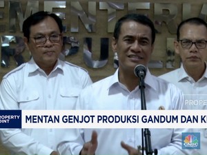 Video: Jurus Mentan Genjot Produksi Gandum dan Kedelai RI