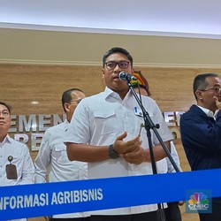 Wamentan Sebut Serapan Bulog Bakal Tembus 4 Juta Ton Beras, Kapan?