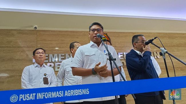Wamentan Sebut Serapan Bulog Bakal Tembus 4 Juta Ton Beras, Kapan?