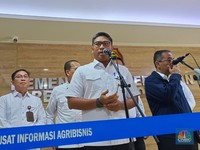 Wamentan Sebut Serapan Bulog Bakal Tembus 4 Juta Ton Beras, Kapan?