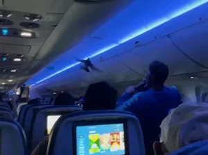 Heboh Merpati Menyelinap ke Kabin, Penerbangan Tertunda Satu Jam