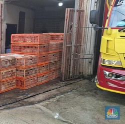 Pengusaha Rumah Potong Ayam Happy Sambut Wajib Halal Tahun 2026