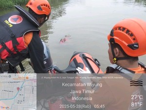 Pemburu Eceng Gondok Tewas Usai Tenggelam di Sungai Kali Makmur Surabaya