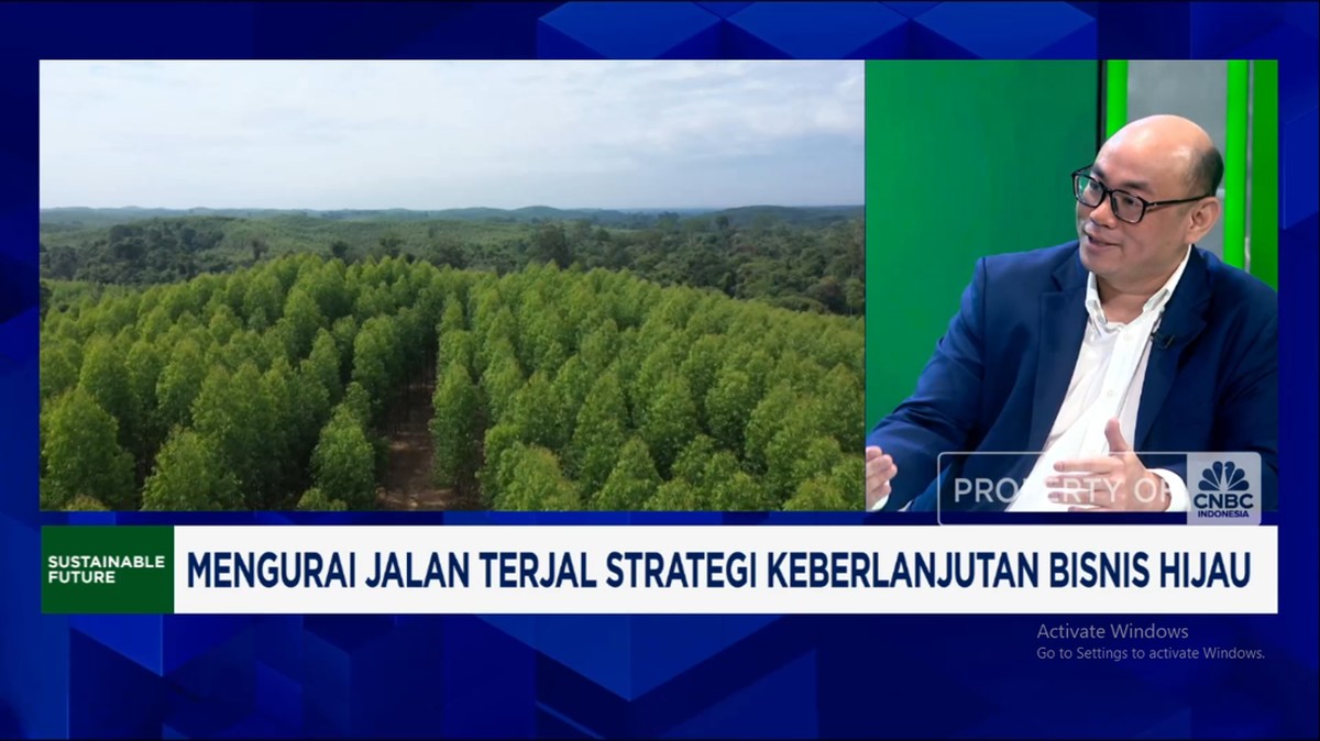 Video: Teknologi hingga Modal, Jalan Terjal RI Kembangkan Bisnis Hijau