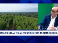 Video: Teknologi hingga Modal, Jalan Terjal RI Kembangkan Bisnis Hijau