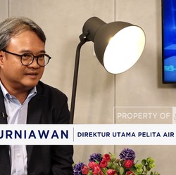 Video: Bos Pelita Air & Nasib Bisnis Penerbangan Hadapi Ketidakpastian