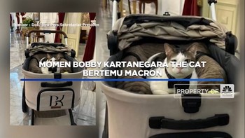 Momen Bobby Kartanegara the Cat Bertemu Macron