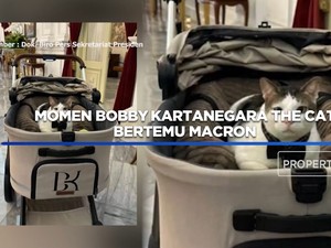 Momen Bobby Kartanegara the Cat Bertemu Macron