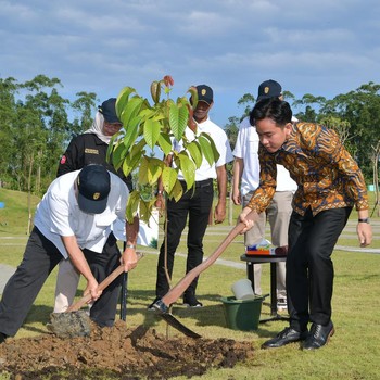 Potret Wapres Gibran Tanam Pohon Ulin & Kapur di IKN