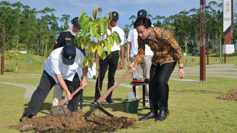Pada hari kedua kunjungan kerjanya di IKN, Wakil Presiden Gibran Rakabuming Raka melakukan penanaman pohon ulin di Plaza Bhinneka Tunggal Ika Kamis (29/05/2025). Pada hari kedua kunjungan kerjanya di IKN, Wakil Presiden Gibran Rakabuming Raka melakukan penanaman pohon ulin di Plaza Bhinneka Tunggal Ika Kamis (29/05/2025). (Dok. Sekretariat Wakil Presiden)